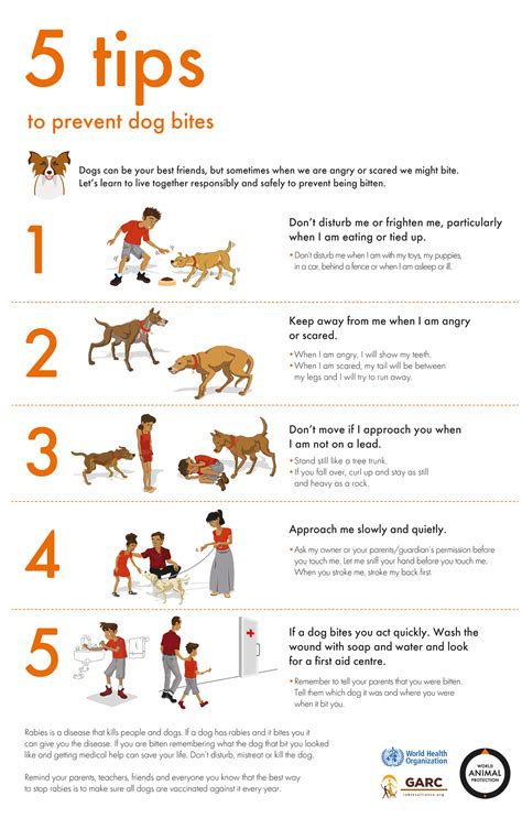 dog bite guidelines
